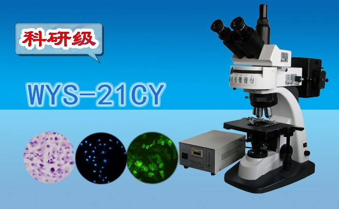 2022年生命科學顯微鏡產業化項目的市場規模