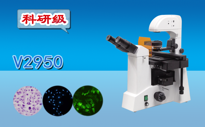 熒光顯微鏡的使用方法是什么？還不趕快收好這份使用手冊